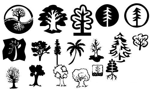 Kształty Drzew - my_tree.jpg