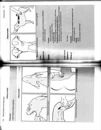 Metody badania i leczenia psów i kotów, memovet - IMG_0164.jpg