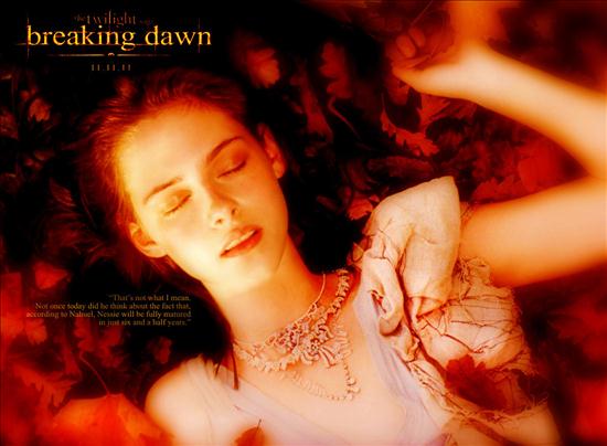 Breaking dawn - Breaking Dawn21.jpg